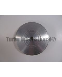 Back Plate, T3, DYN