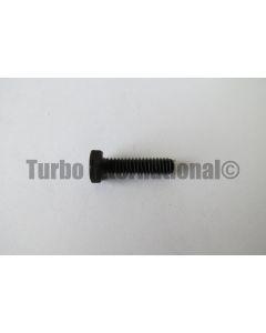 Bolt / Screw, 1/4-20