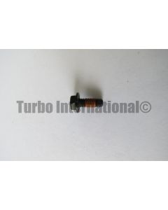 Bolt / Screw, M4x0.70, T/BRG