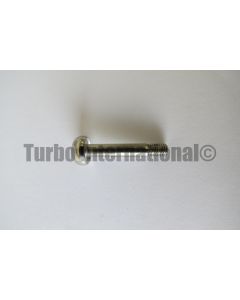 Bolt / Screw, GT15/25, M5x0.8, VANE