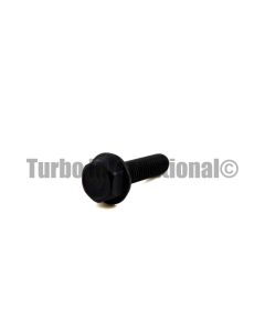 Bolt / Screw, TV75, M8x1.25mm