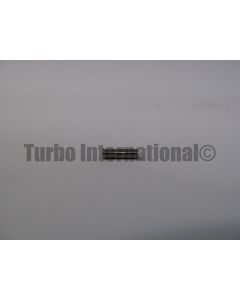 PIN, GT17