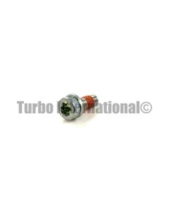 Bolt / Screw, BACK PLATE, M6 X 1.0