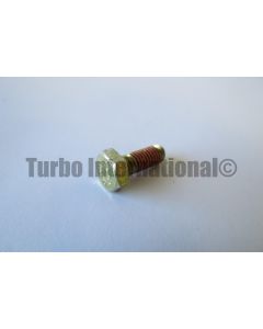 Bolt / Screw, M6x1.0x16 HH, C/END