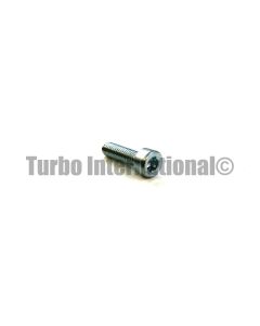 Bolt / Screw, CT9