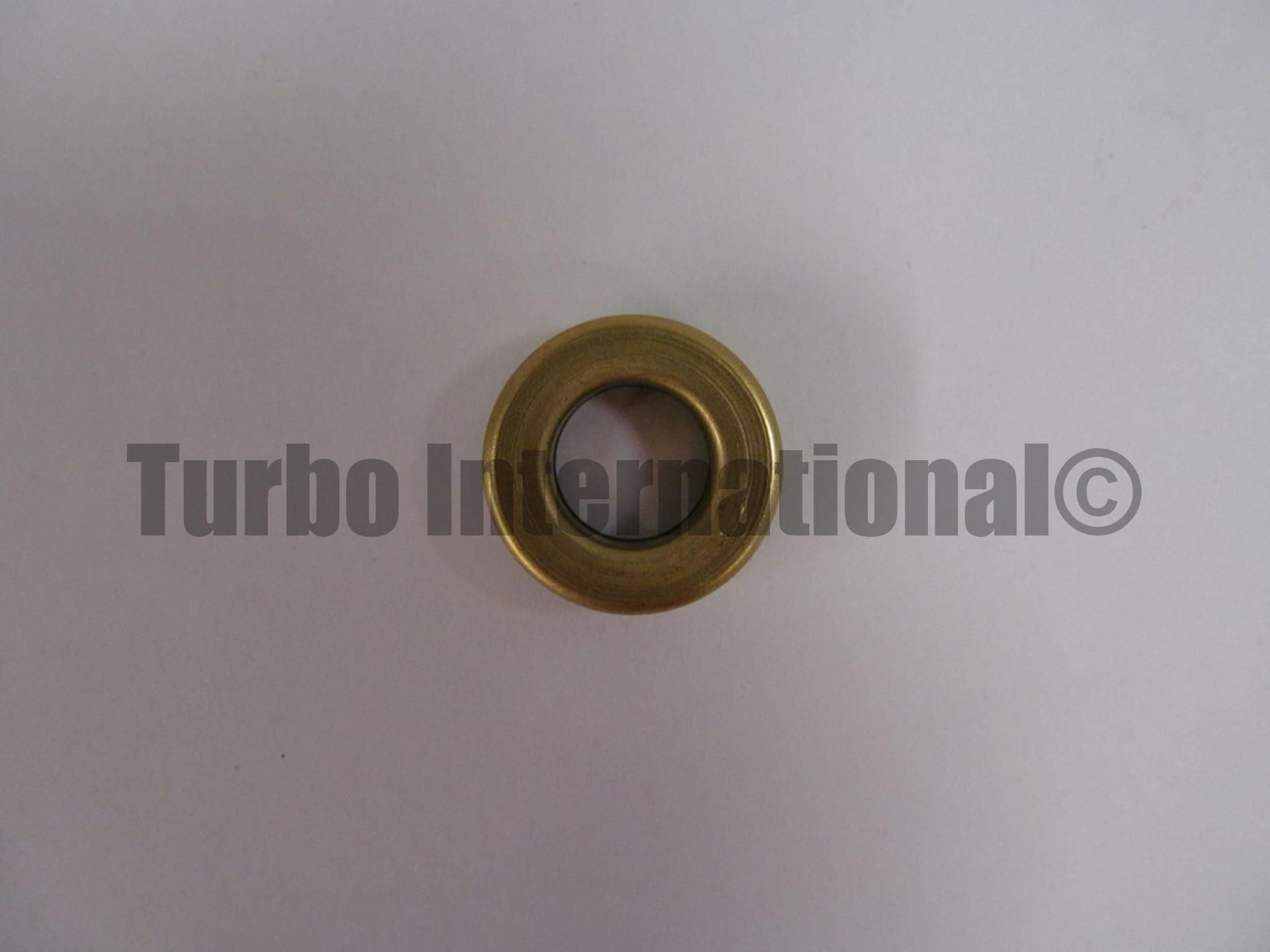 Carbon Seal, ENCAPSULATED GT40