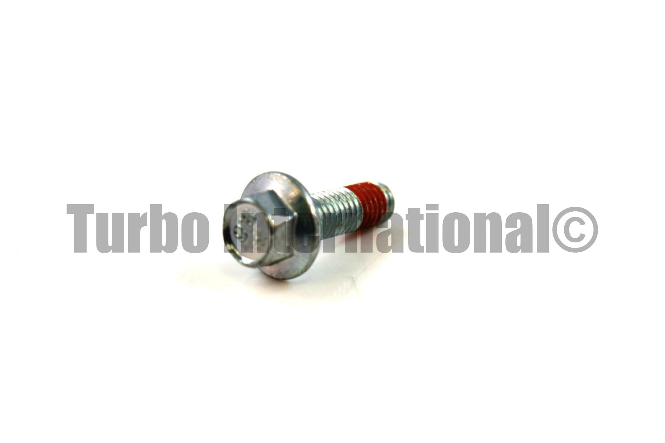 Bolt / Screw, GT60, 10-32, T/BRG