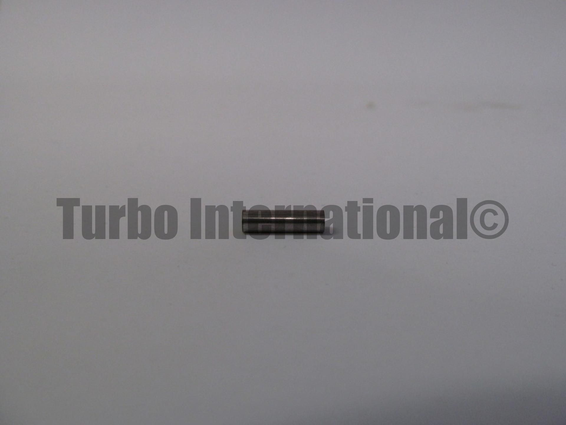 PIN, GT17
