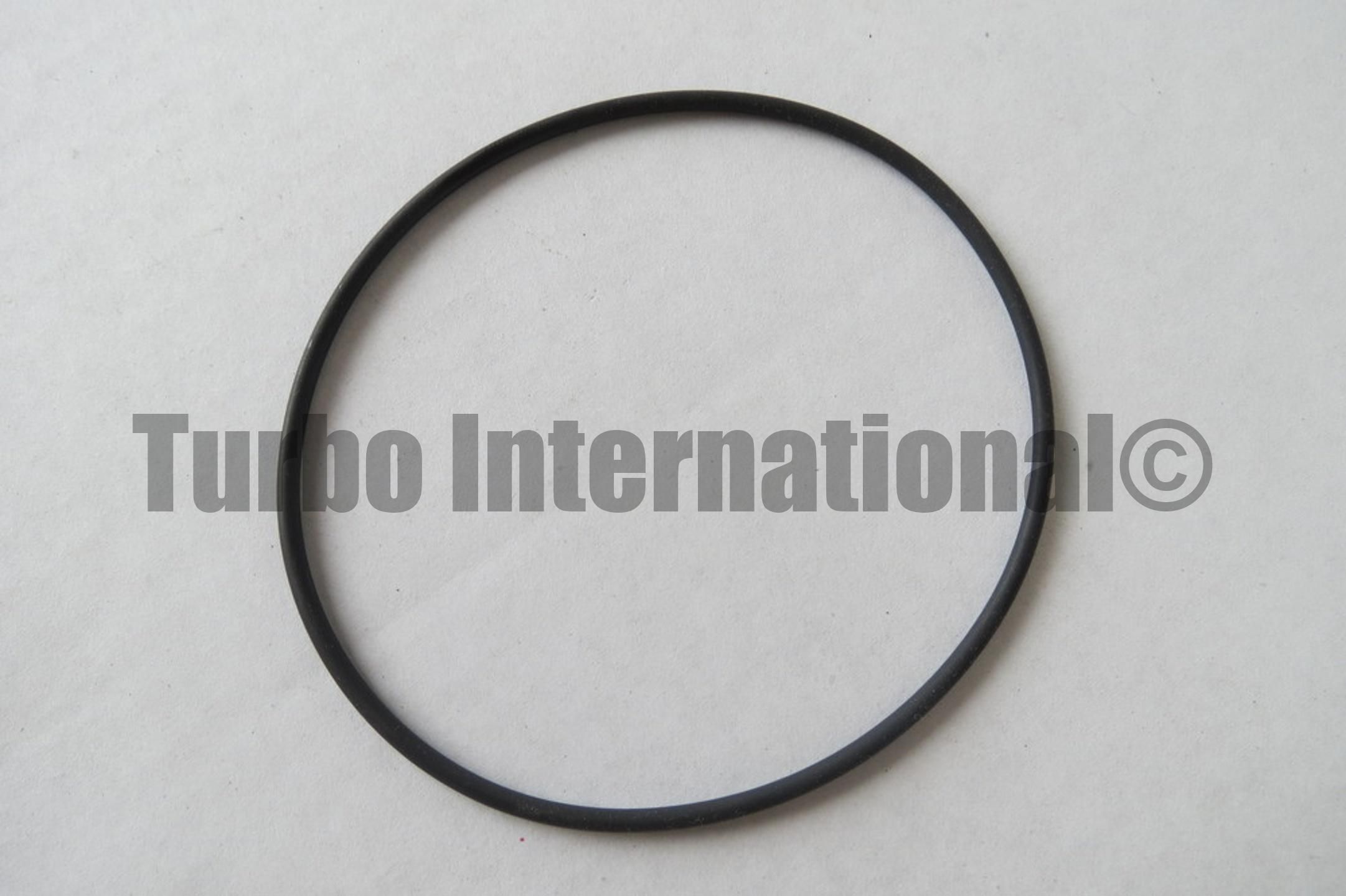 O-Ring, S100, 89x2.6mm, B/HSG