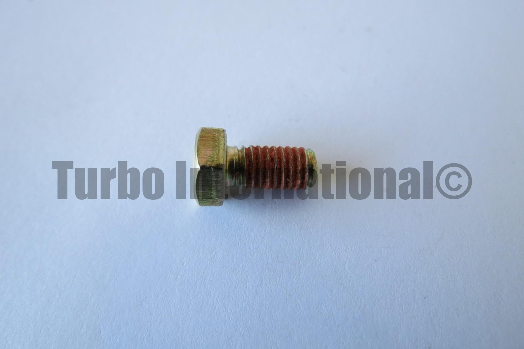 Bolt / Screw, M6x1.0x12 HH, C/END