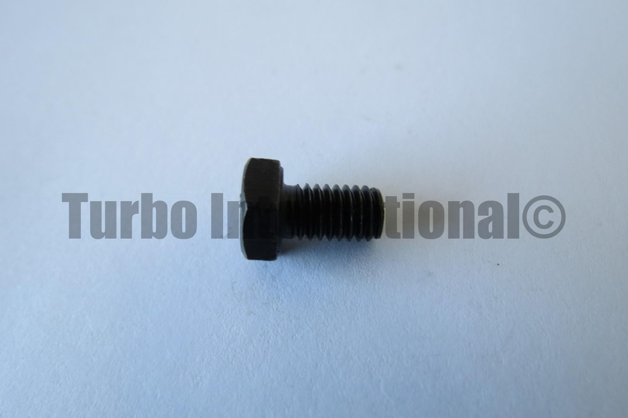 Bolt / Screw, M6x1.0x10 HH, T/END