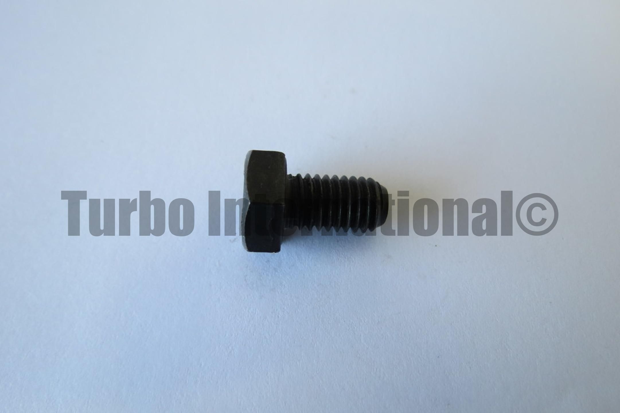 Bolt / Screw, M8x1.25, T/END