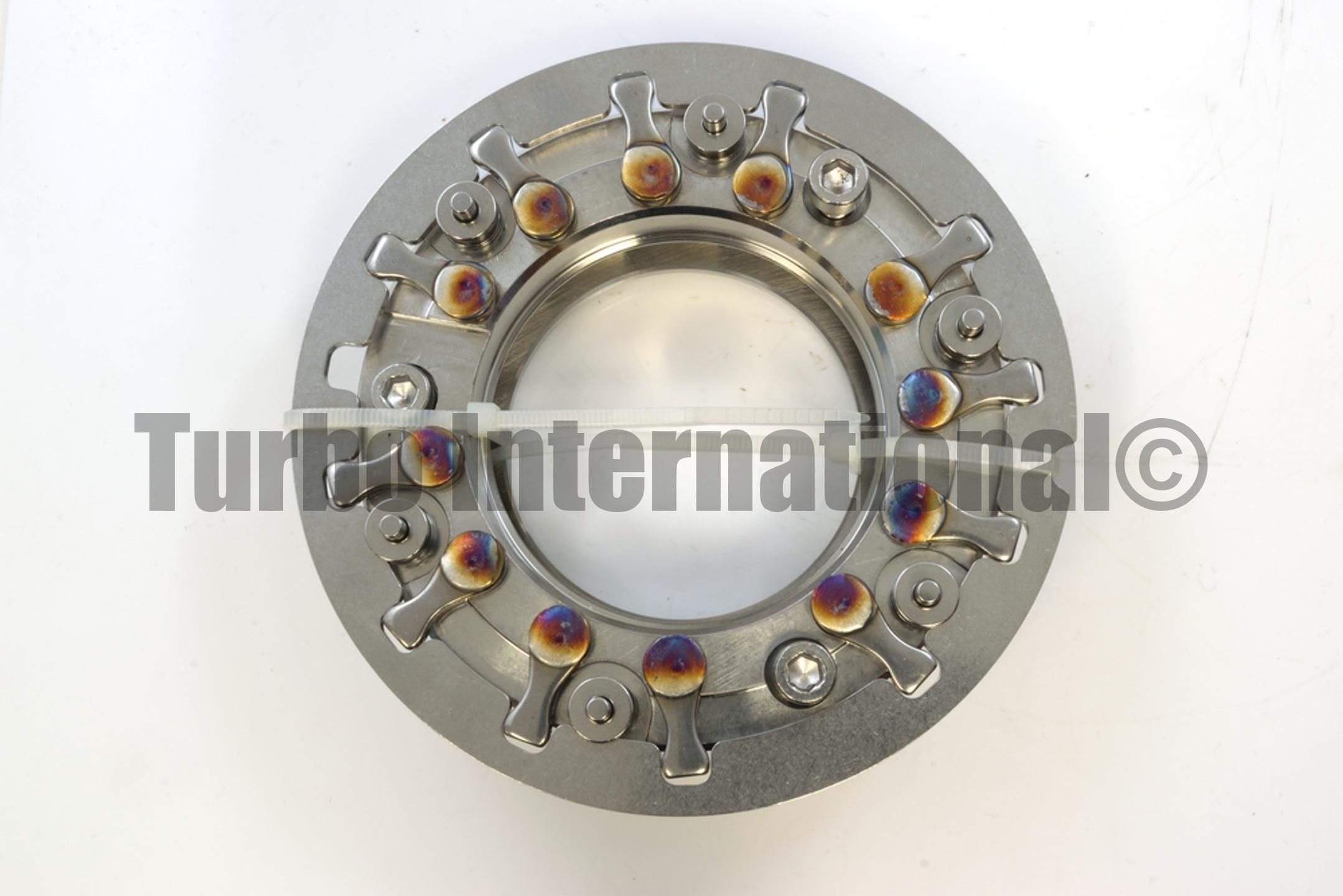 Nozzle Ring Assembly, GT2052V